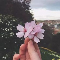 吃瓜课代表